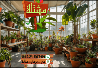 Ajouter-un-titre-23-1